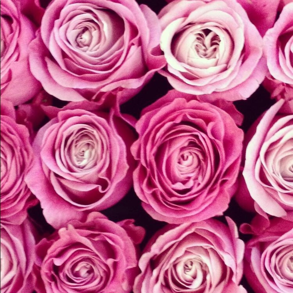 Hey! I’m Chloe💕✨! Please feel free to reach out!!